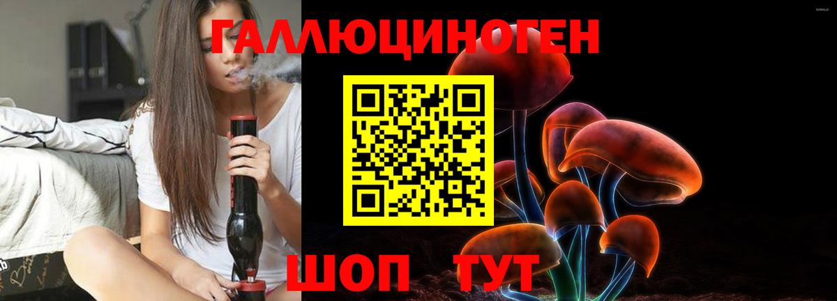 Псилоцибиновые грибы GOLDEN TEACHER Сарапул