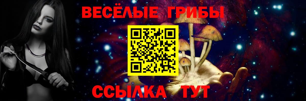 Галлюциногенные грибы Psilocybe  Вход с VPN  Сарапул 